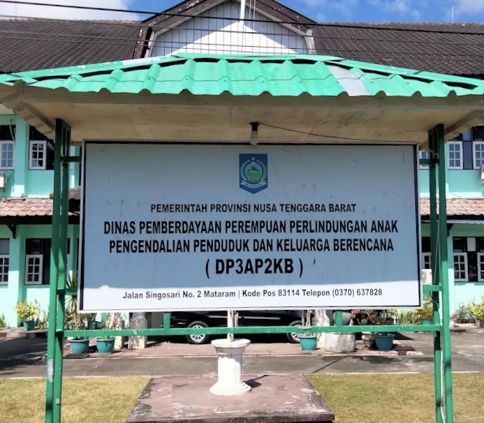 Dinas Pemberdayaan Perempuan dan Perlindungan Anak, Pengendalian Penduduk dan Keluarga Berencana (DP3APKB)