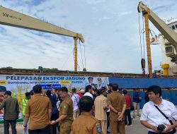 6.000 Ton Jagung Asal Sumbawa Diekspor ke Filipina