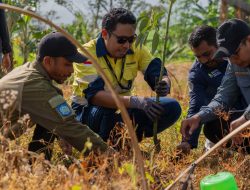 Menanam Harapan di Tepi Hutan Sumbawa Barat: Kisah AMMAN dan Masyarakat Desa Talonang