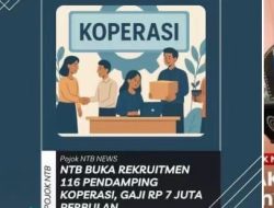 Lowongan Kerja Pegawai Koperasi Viral di TikTok, Tanda Warga NTB Butuh Pekerjaan