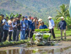 Optimalisasi Lahan, Strategi NTB Dongkrak Pertanian dan Tekan Kemiskinan