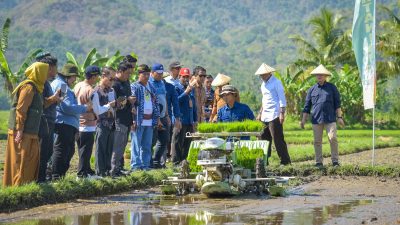 Optimalisasi Lahan, Strategi NTB Dongkrak Pertanian dan Tekan Kemiskinan