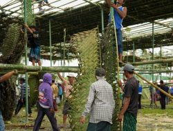 Lestarikan Tradisi Jelang Hultah, Jemaah NW Bergotong Royong Buat Tetaring
