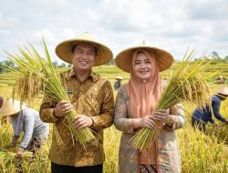 Produksi Padi NTB Melonjak, Pemprov Optimistis Wujudkan Swasembada Pangan 2026