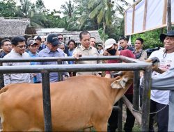 Tanam 2.000 Bibit Kakao, Gubernur NTB Dorong Hilirisasi Ekonomi Desa di Lombok Utara