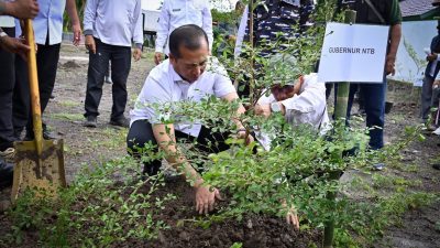 Gubernur Iqbal: Hutan Lestari Kunci Sukses Pembangunan NTB