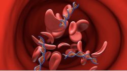 Puasa Aman, Tekanan Darah Terkendali: Tips Pola Makan Sehat bagi Penderita Hipertensi Saat Ramadan