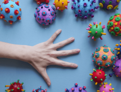 NTB Waspadai Virus Nipah, Pemprov Minta Warga Tetap Tenang