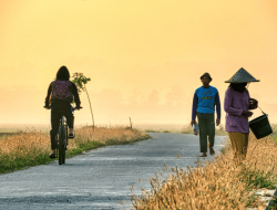 40 Desa Disulap Jadi Motor Ekonomi NTB, Program Desa Berdaya 2026 Resmi Jalan!