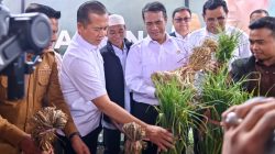 NTB Jadi Sentra Bawang Putih Nasional, Mentan dan Gubernur Tancap Gas Wujudkan Swasembada Pangan
