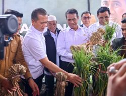 NTB Jadi Sentra Bawang Putih Nasional, Mentan dan Gubernur Tancap Gas Wujudkan Swasembada Pangan