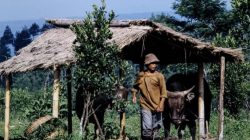 Harga Pangan Memanas, Potret Ekonomi Indonesia per 28 Maret 2026