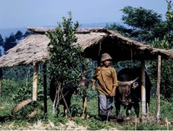 Harga Pangan Memanas, Potret Ekonomi Indonesia per 28 Maret 2026