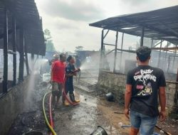 Asrama Ponpes Terbakar di Lombok Tengah, 150 Santri Terdampak