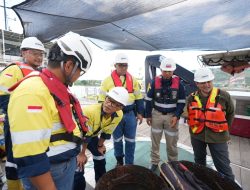 Akademisi Soroti Pemulihan Biota Laut di Area AMMAN yang Dinilai Positif