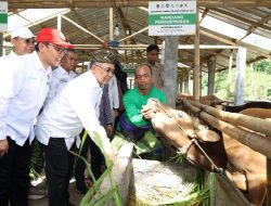 BAZNAS RI Hadirkan Balai Ternak di Lombok Tengah, Dorong Ketahanan Pangan dan Ekonomi Mustahik