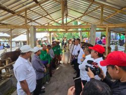 Kelompok Jelate Peternak Sapi Apresiasi Dukungan BAZNAS RI dan NTBdalam Penguatan Ekonomi Peternak di Lombok Tengah