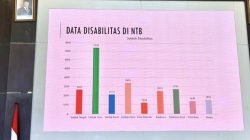 Himpunan Wanita Disabilitas Indonesia Kritik Kebijakan NTB yang Tak Libatkan Disabilitas
