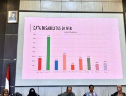Himpunan Wanita Disabilitas Indonesia Kritik Kebijakan NTB yang Tak Libatkan Disabilitas