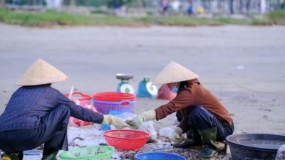 Dinsos NTB Gaspol Program Desa Berdaya, 40 Desa Siap Diverifikasi dan Dapat Bansos Usaha