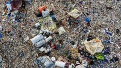 NTB Gandeng Investor Belanda, Sampah 1.000 Ton per Hari di Lombok Disulap Jadi Energi