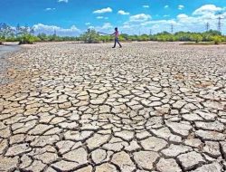 Kemarau Diprediksi Lebih Panjang, Dinsos NTB Siapkan Suplai Air
