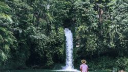 Tibu Sedalem: Surga Tersembunyi di Hutan Lombok Barat