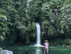 Tibu Sedalem: Surga Tersembunyi di Hutan Lombok Barat
