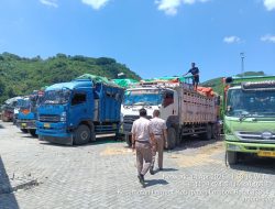 Pengiriman Ternak NTB 2026 Lebih Tertata, Pemprov Sebut Distribusi Lancar