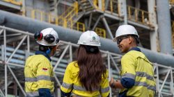 PT AMNT Buka Lowongan Kerja Nih, Yuk Generasi Muda NTB Buruan Daftar!