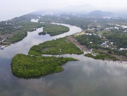 Pantai Cemare Lembar, Wisata Tenang dengan Hutan Mangrove Eksotis di Lombok Barat