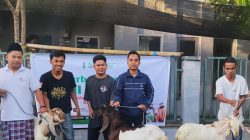 HMI Berkurban: Menghidupkan Nilai Spiritual, Merawat Kepedulian Sosial