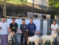 HMI Berkurban: Menghidupkan Nilai Spiritual, Merawat Kepedulian Sosial