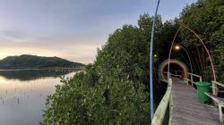 Pesona Mangrove Sekotong Tengah yang Bikin Wisatawan Betah