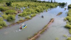 “Hidden Gem Hijau di Sekotong” Pesona Ekowisata Mangrove Bagek Kembar yang Wajib Dikunjungi