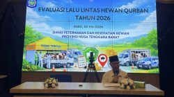 NTB Kirim Puluhan Ribu Sapi Kurban ke Jabodetabek dan Kalimantan