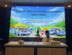 NTB Kirim Puluhan Ribu Sapi Kurban ke Jabodetabek dan Kalimantan