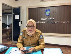 NTB Genjot PSN dan Bidik Investasi Malaysia–China untuk Percepat Pertumbuhan Ekonomi
