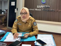 Investor Belanda Siap Bangun Pabrik Sampah Jadi Listrik di NTB, Nilai Investasi Capai Rp1 Triliun