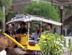 Pemprov NTB Soroti Dugaan Eksploitasi Kuda Cidomo di Gili Trawangan