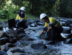 Di Balik Hijaunya Tambang Batu Hijau