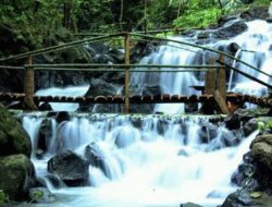 Mata Air Medjet Kakong, Oase Sejuk di Kaki Rinjani yang Menyimpan Pesona Alam Lombok Utara
