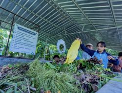 Lewat Program Pengelolaan Sampah Sekolah, AMMAN Raih Penghargaan Tertinggi di Lestari Awards 2026