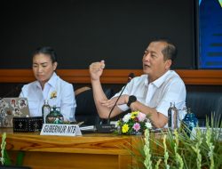Dari Hilirisasi hingga Gili Tramena, Gubernur NTB dan Komisi VII Perkuat Transformasi Ekonomi NTB