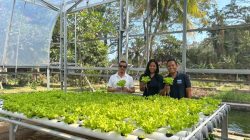 Eco Farm Holiday Resort Hasilkan Panen Rp17 Juta, Tekan Limbah Organik
