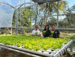 Eco Farm Holiday Resort Hasilkan Panen Rp17 Juta, Tekan Limbah Organik