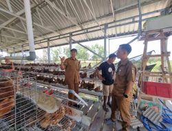 Desa Berdaya Iqbal-Dinda, dari Bantuan Menuju Kemandirian